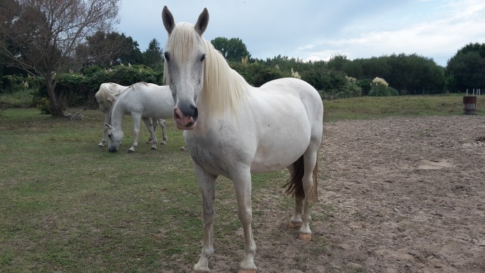 Photo de profil de darwinou