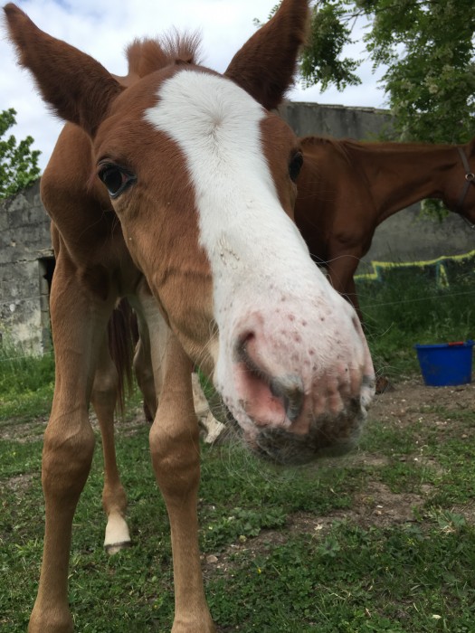 Photo de profil de delagauzelle