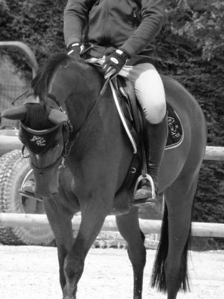 Photo de profil de demoiselle56