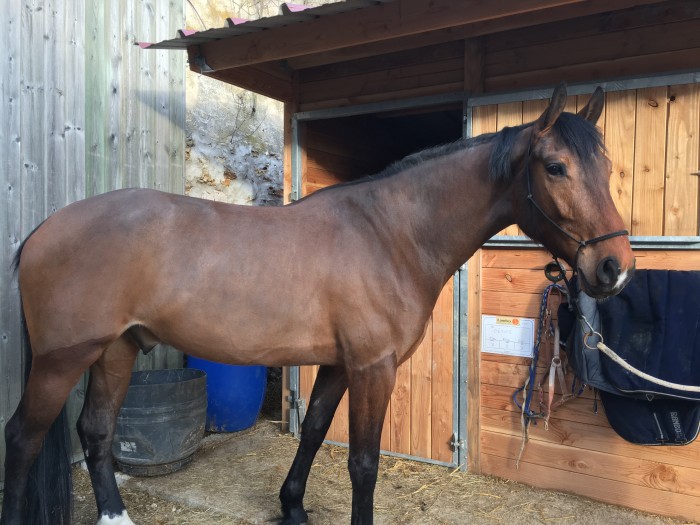 Photo de profil de desiredekilliam