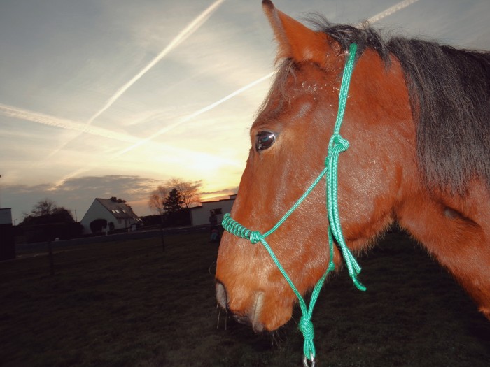 Photo de profil de dionysos29