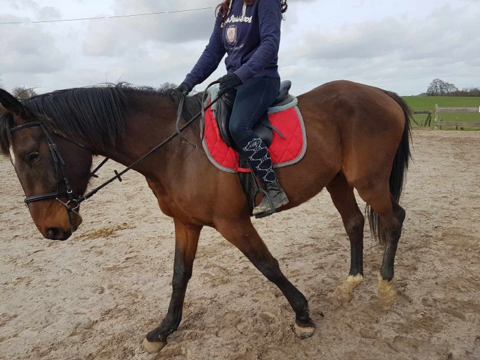 Photo de profil de dolmen