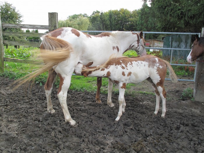 Photo de profil de dom91