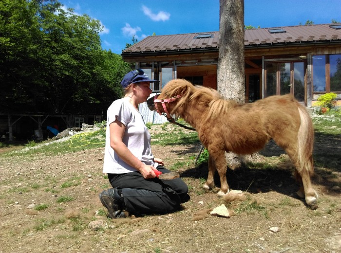 Photo de profil de domainelafreta