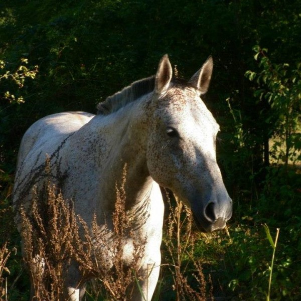 Photo de profil de doudoudisdonc