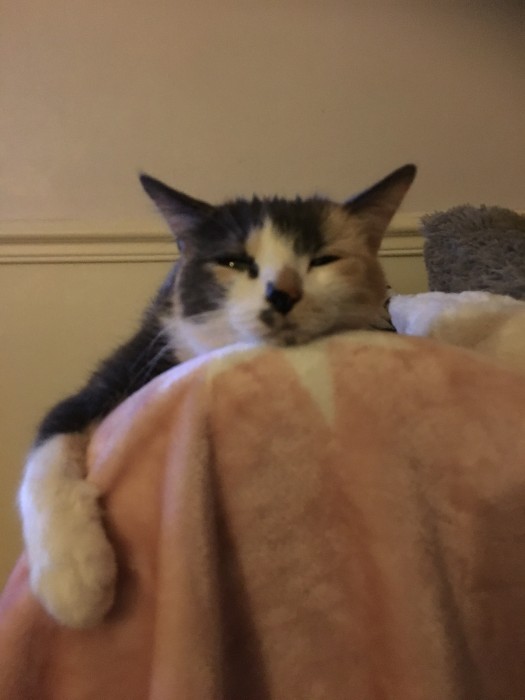 Photo de profil de doudoudoux