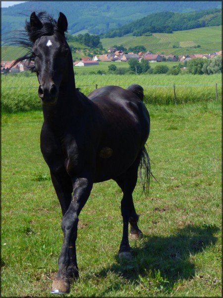 Photo de profil de doule