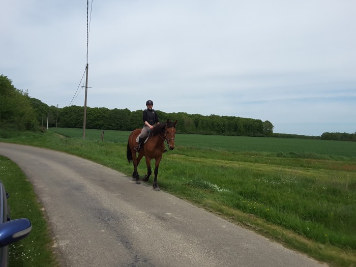 Photo de profil de dressman00
