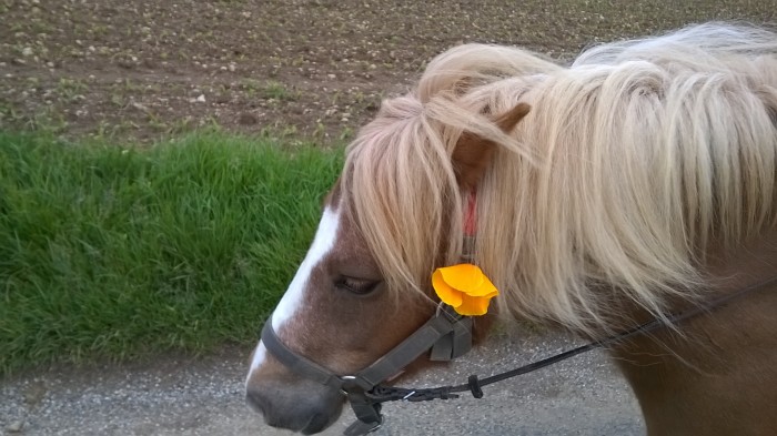 Photo de profil de dudus