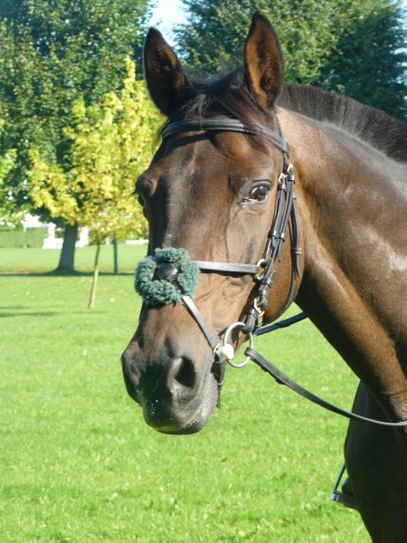 Photo de profil de duhour