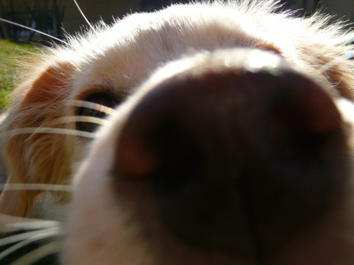Photo de profil de dynadiya