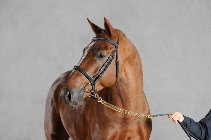 Photo de profil de earl4