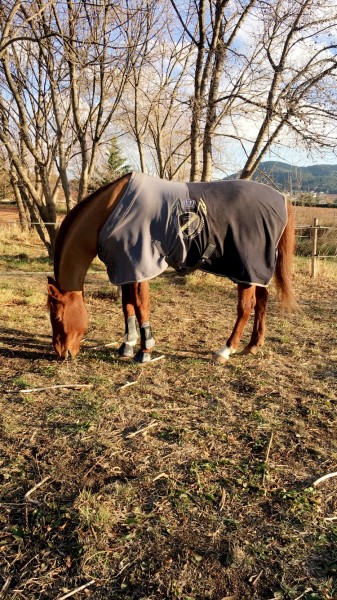 Photo de profil de ece83