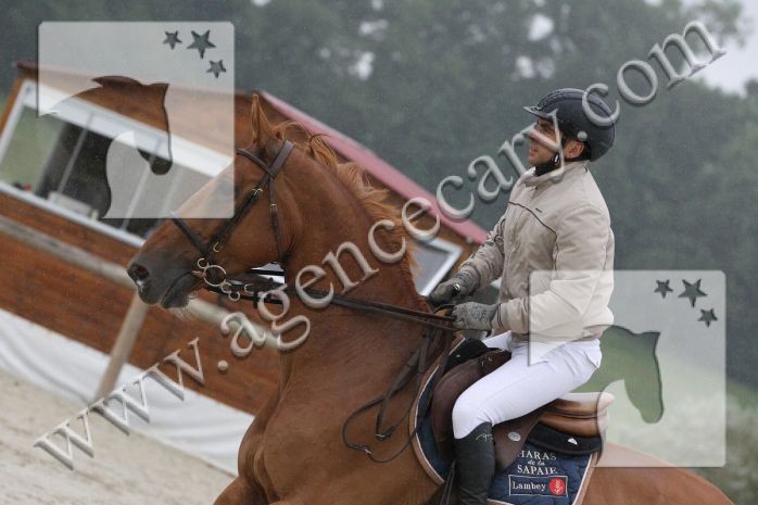 Photo de profil de ecuriecassou