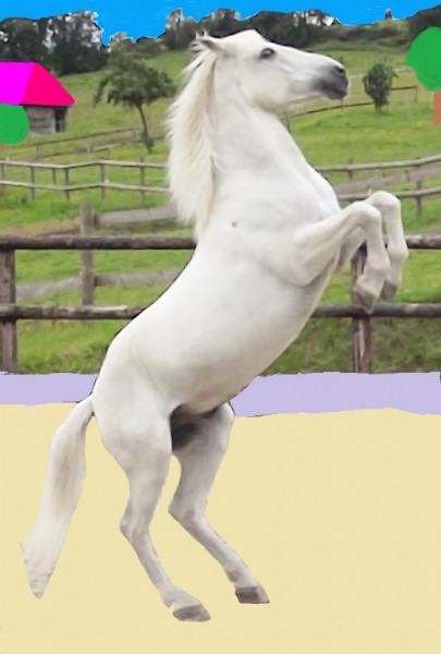 Photo de profil de ecurienormandie