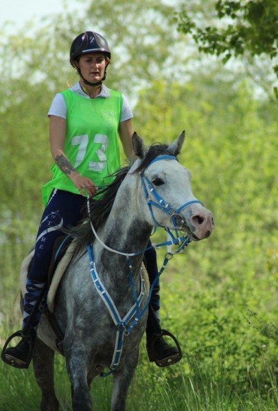 Photo de profil de ecuriesalf