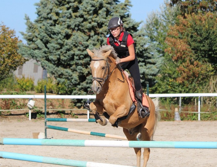 Photo de profil de edi77370