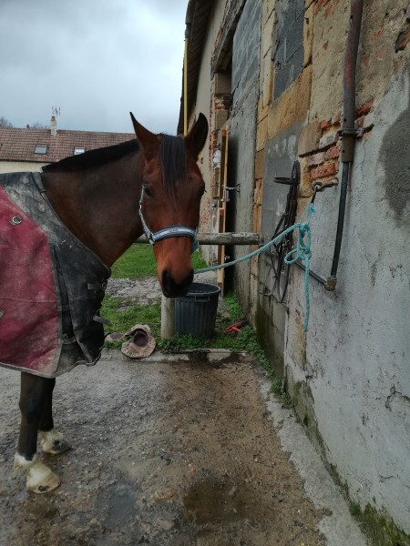 Photo de profil de el23