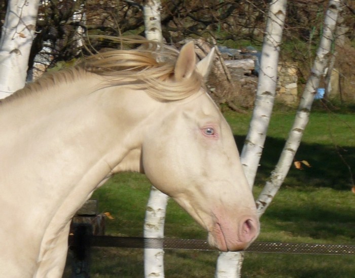 Photo de profil de elbe