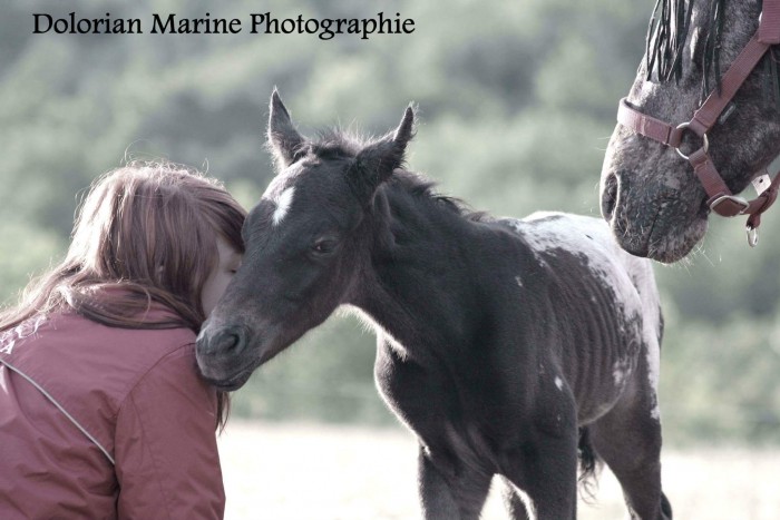 Photo de profil de elborg