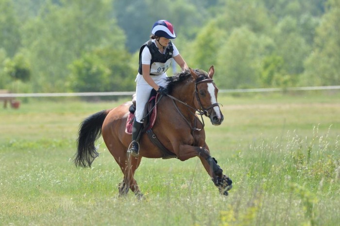 Photo de profil de eleganceladys