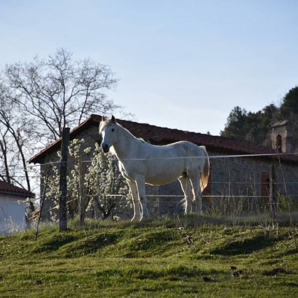 Photo de profil de elisaroitg