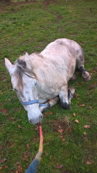 Photo de profil de eliyahdjango