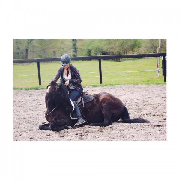 Photo de profil de elsa_ia