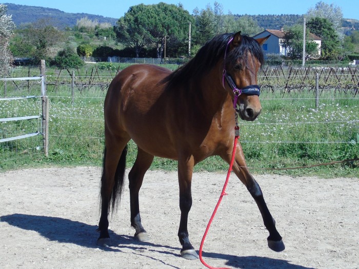 Photo de profil de elvira84