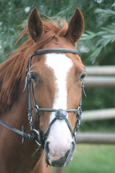 Photo de profil de emeu2706