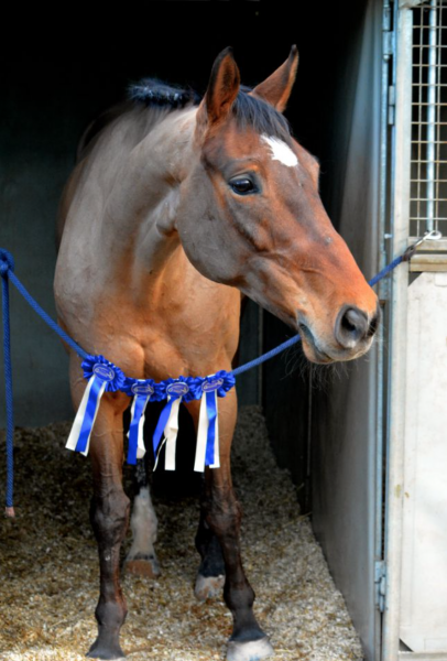 Photo de profil de emiliealbouy