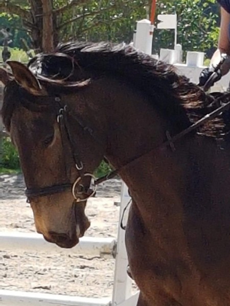 Photo de profil de emilie.forcado