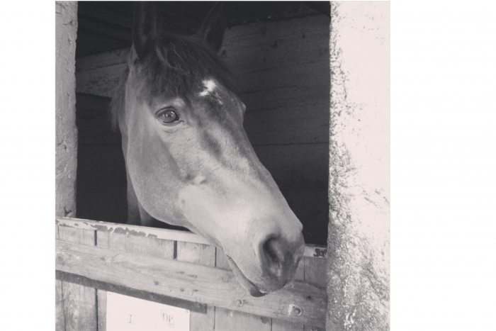 Photo de profil de ems670