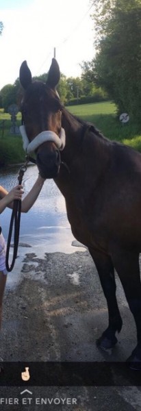 Photo de profil de enilesor