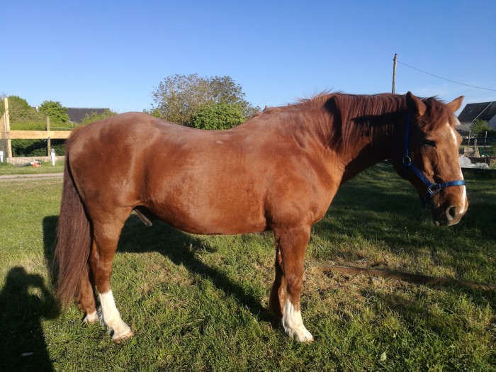 Photo de profil de enjoylove