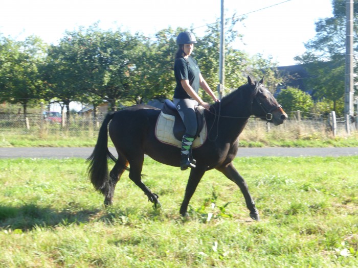 Photo de profil de enora_glx