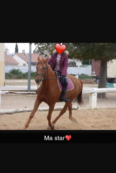 Photo de profil de entre_cavaliers