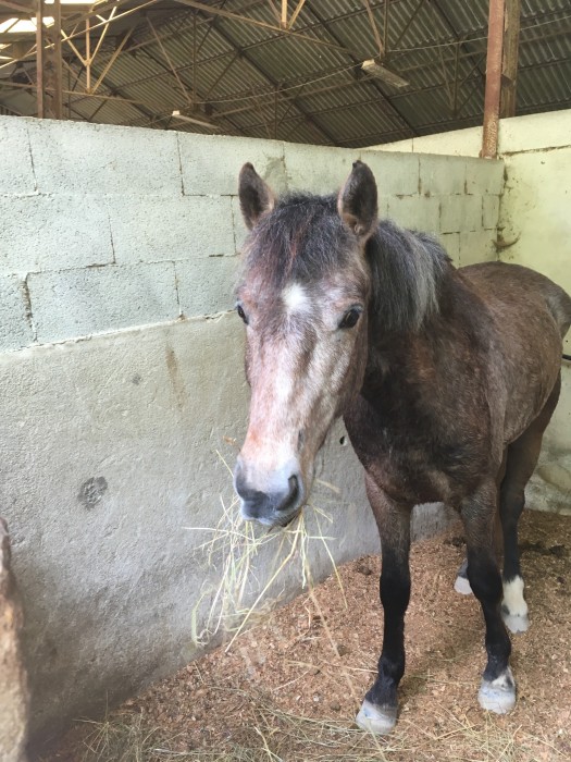 Photo de profil de equeazy