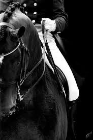 Photo de profil de equismall