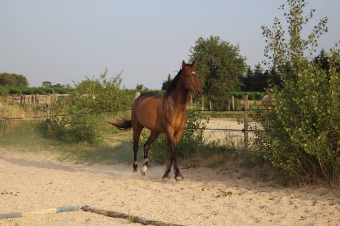 Photo de profil de eros30