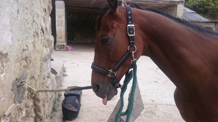 Photo de profil de erwan60