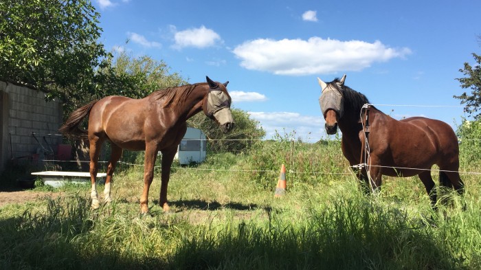 Photo de profil de eugenie66