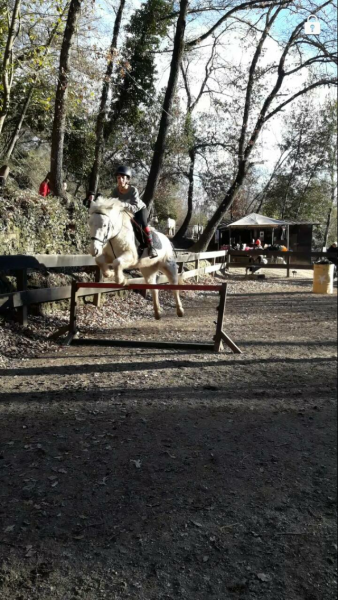 Photo de profil de evanissa