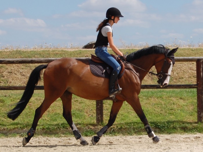 Photo de profil de evaruze