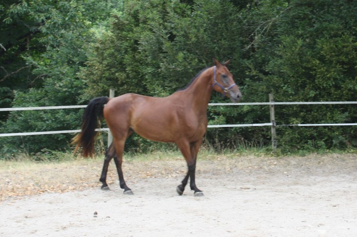 Photo de profil de evecedrat