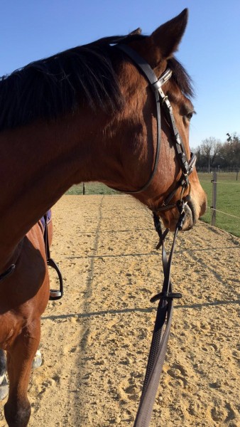 Photo de profil de ewileron20