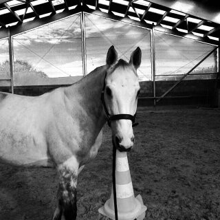Photo de profil de fadelny
