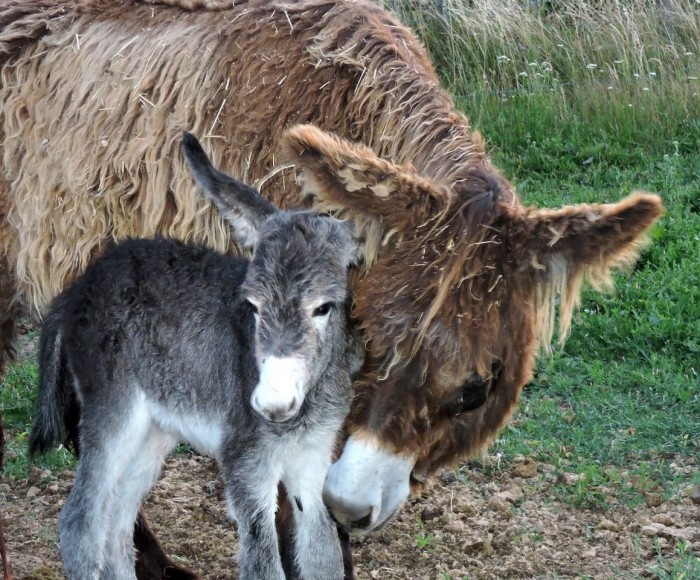 Photo de profil de fanny49