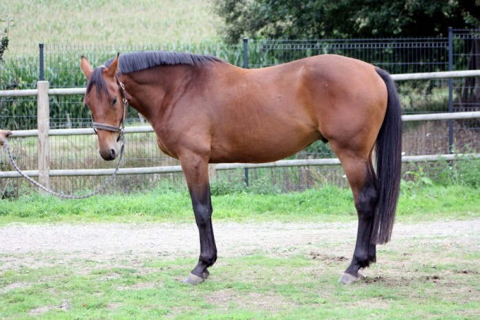 Photo de profil de faucet