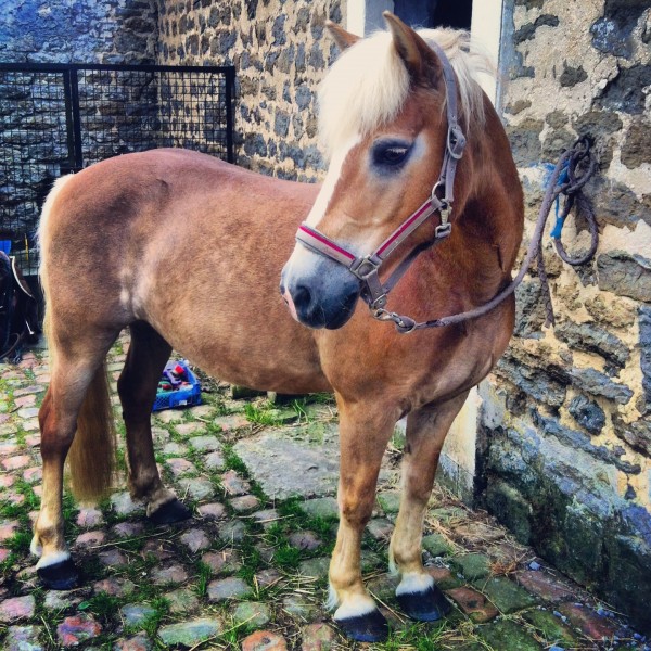 Photo de profil de faustinehrg